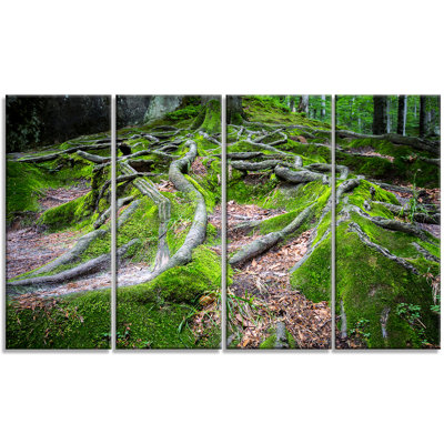 " Green Wild Deep Moss Forest " 4 - Pieces