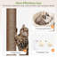 Arbre à chat 48 po pour 3 à 4 chats de taille moyenne, tour pour chat d'intérieur avec 2condos et hamacs, petit arbre à chat avec poteaux à griffes en sisal, velours doux pour l'escalade, assemblage facile-1065749779