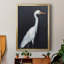 Calm Great Egret II - impression d'un seul cadre photo-1357522964-1357522967