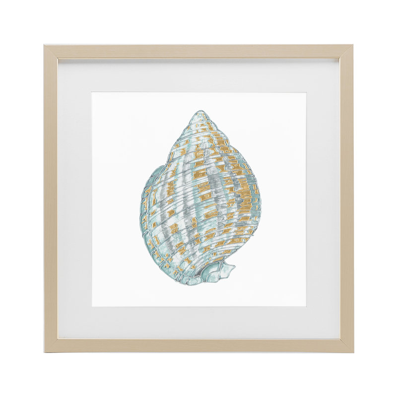 Coquilles de Regal, reproduction sous verre encadrée, conception par Lorenzo Collective, H 13 po x l 13 po