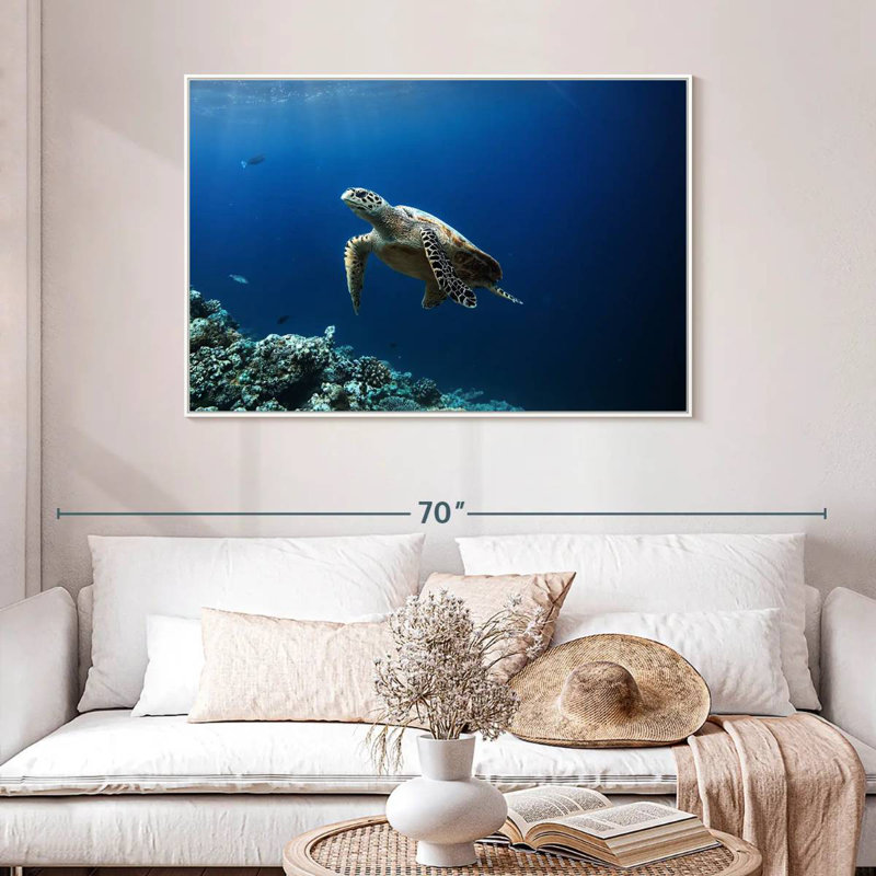 Tortue aventure, 46 po x 31 po, Cadre flottant blanc