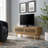 Render 46" TV Stand-145143606