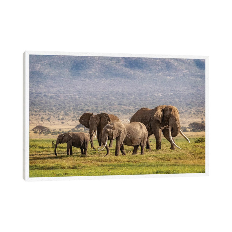 Elephant Family In Amboseli Kenya by Susan Richey - Gallery-Wrapped Canvas Giclée on Canvas, White Framed