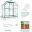 4' x 6' Walk-In Greenhouse