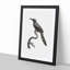 Jacamar Bird by Jacques Barraband - Picture Frame Drawing Print-55575952-55575953
