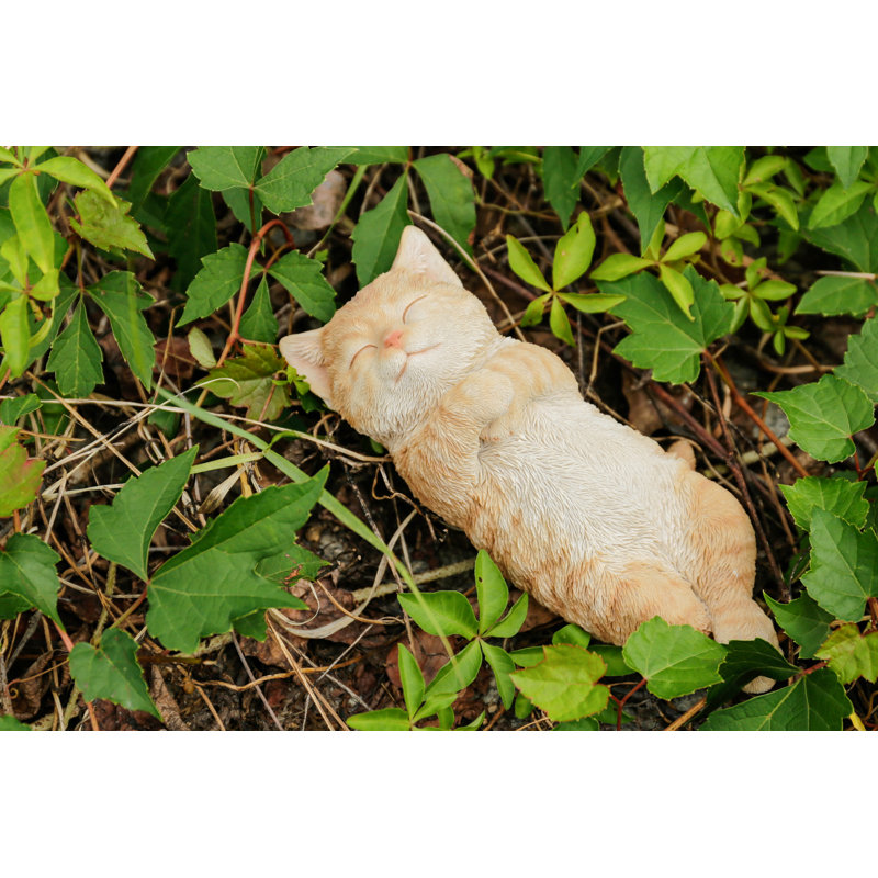 Sleeping Cat, Orange