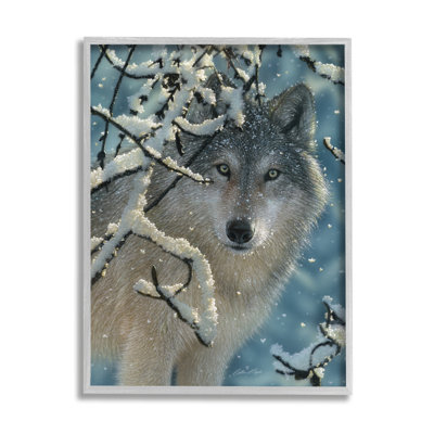 " Wolf Behind Snowy Branches Winter Wild Forest Animal "