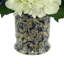Hydrangea Arrangment In A Chinoiserie Vase-692989066
