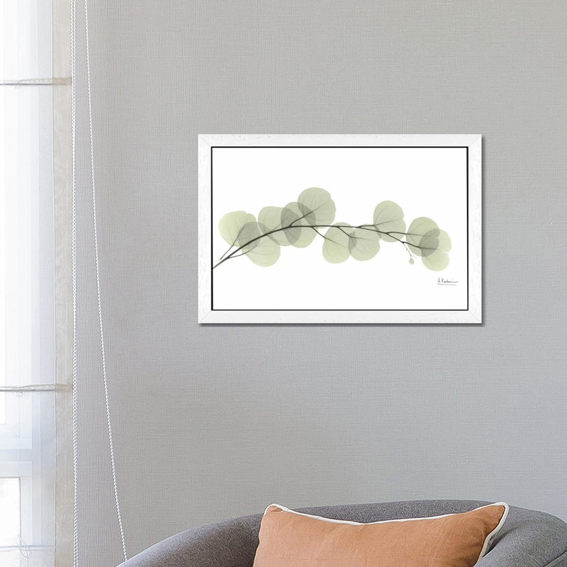 Eucalyptus by Albert Koetsier - Print on Canvas, 66.04 cm H x 45.72 cm W, White Floater Framed