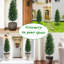 Plant-15967654-15967672