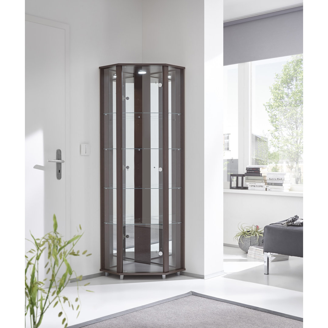 Elizel Corner Curio Cabinet with Lighting