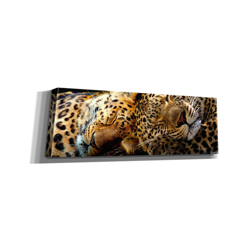 «Latitude Sleep 'Two Sleepers Cheetahs» par Murray Henderson, reproduction d'art sur toile, H 12 po x l 36 po x P 1,5 po