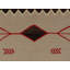 Southwestern Area Rug in Brown