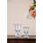 Ariquer Glass Table Vase-1613160003