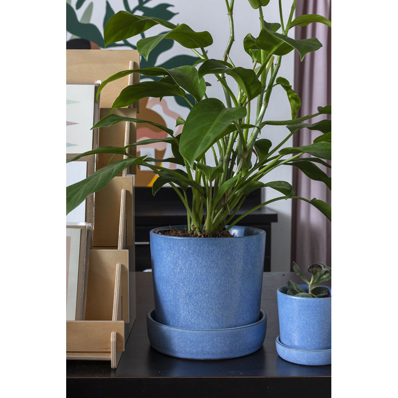 Pot à fleurs en céramique Zandra, Bleu, H 6,5 po x l 6,75 po x P 6,75 po