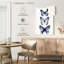 Étude de papillon indigo Brampt-108364479