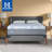 Sealy Dreamlife 12” Plush Foam Mattress-in-a-Box-99281082