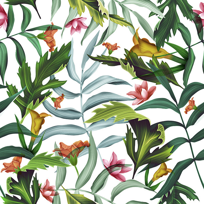 Zyyon 2.5m x 2.5m Matte Mural, 416 x 254cm