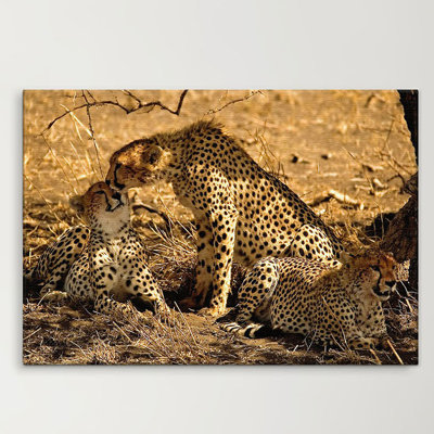 Print on Canvas