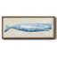 Baleine rustique I-596773293-596773294