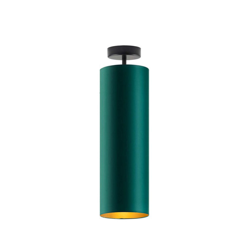 Ashpreet 1 - Light Single Pendant, Black, Green