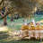 Dyess Olive Tree Tablecloth-107096889-107096890