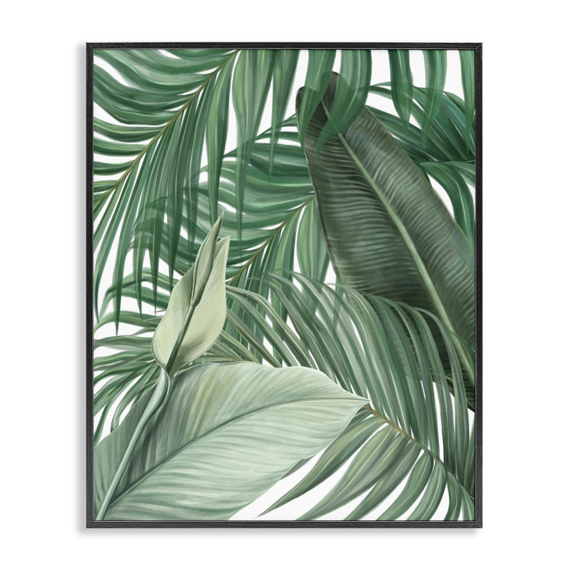 Giclée encadrée par Clean Tropics, H 14 po x l 11 po, Giclée encadrée noir minuit