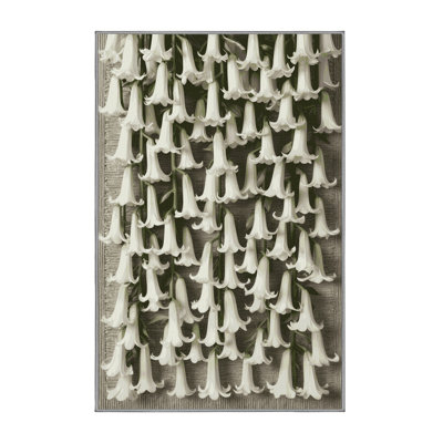 Machine Washable Botanical Grey Area Rug