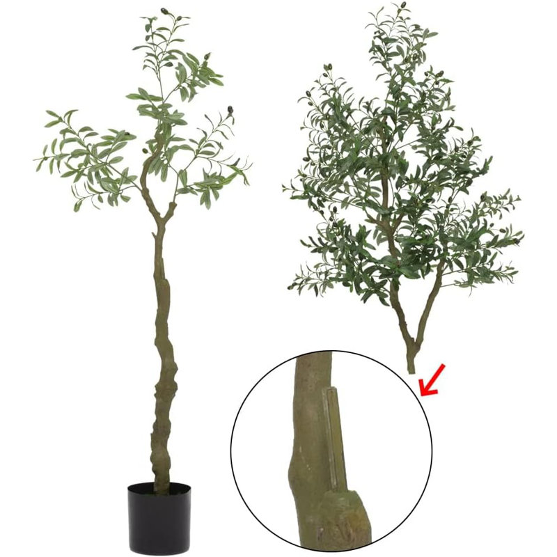 210cm Plant