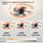 Modern Slim Flush Mount Ceiling Fan with Dimmable LED Remote Control, Rose Gold-1577912867