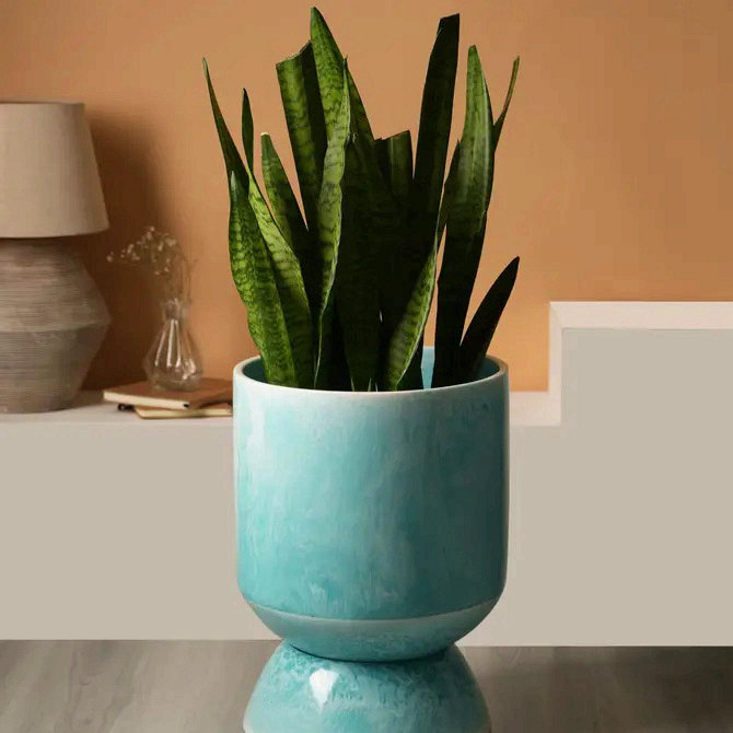 Vase décoratif décoratif de table bleu - 13 po x 17 po