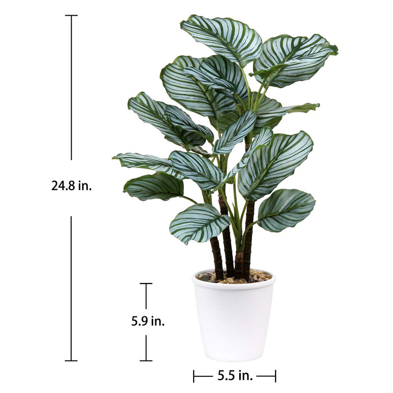 Ajala 63cm Faux Plant