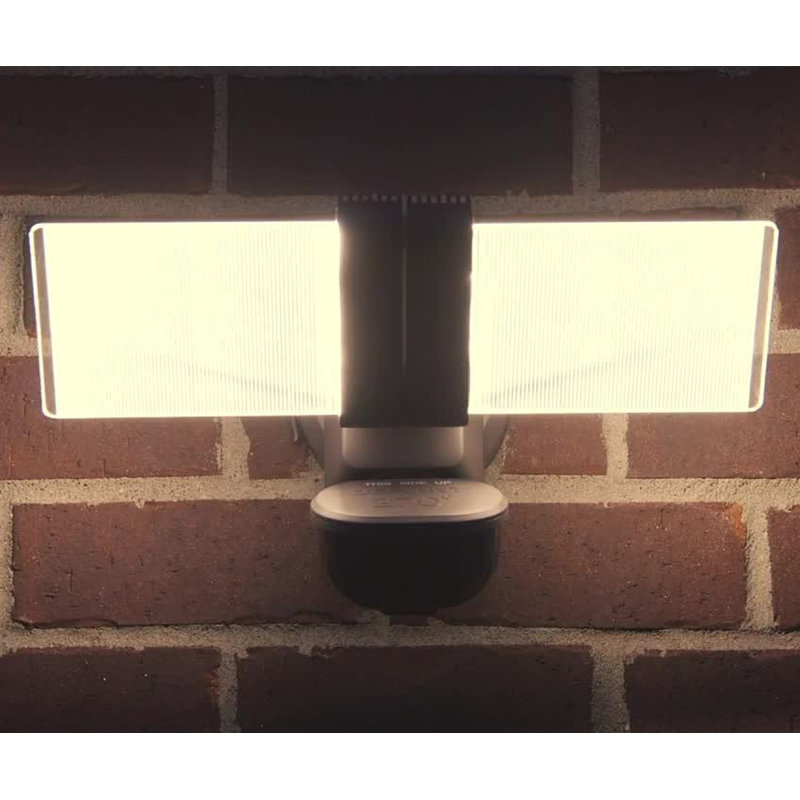 LED Wall Light