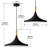 Darionna Industrial Single Matte Black Chandelier Fixture