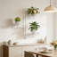 Plant Stand