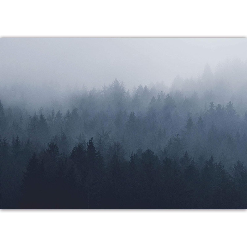 Murale forêt couverte de brume, L 66 po x l 96 po