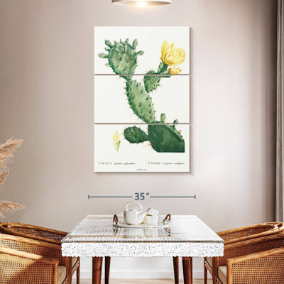 Harnek, aloès, Opuntia Polyanthos, image de l'histoire des plantes grasses