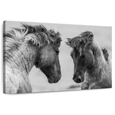 Brampt Monochrome Fighting Horses