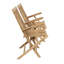 Hayne Teak Outdoor Lounge Chair