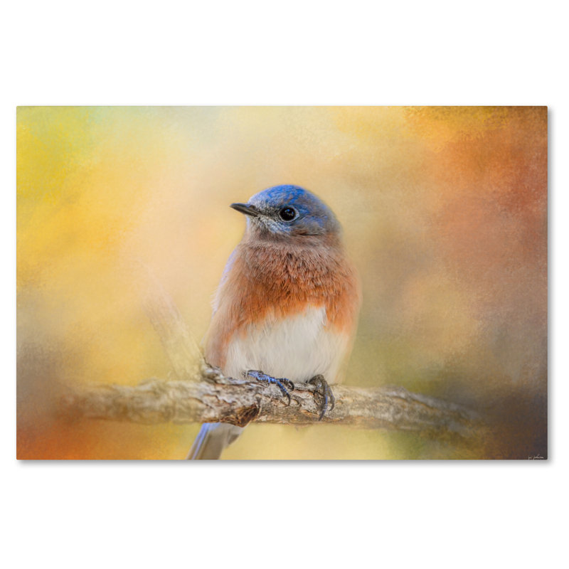 «Autumn's Treasure» de Vidur, impression sur toile tendue, H 12 po x l 19 po