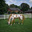 Mustang Horse Armored Sculpture, Grazing