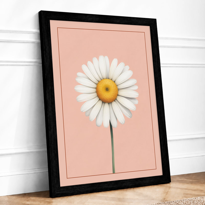 Daisy Study Botanical Framed Art Print, Black, A3 - 42.0 x 29.7 cm