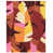 Brun/Rose/Rouge