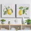 Lemon Fresh I - ensemble de 2 peintures sur toile tendue-1032716318