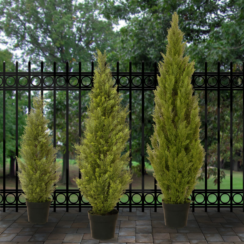 The Holiday Aisle® Cedar Tree, 36" H x 9" W x 9" D