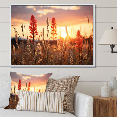 " Wildflowers Field With Sunset "