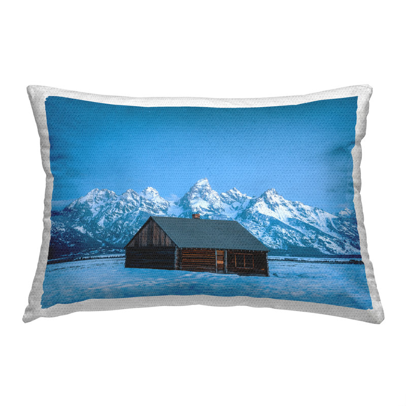 Polyester Lumbar Rectangular Indoor/Outdoor Pillow Cover & Insert