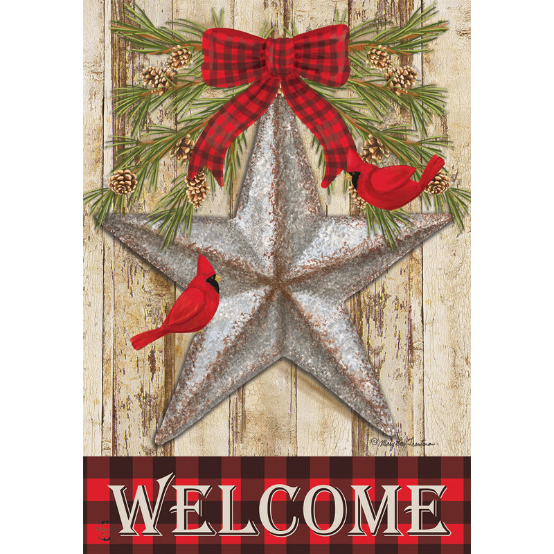 Drapeau festif de jardin d'hiver Barnstar,  Rouge / vert / gris