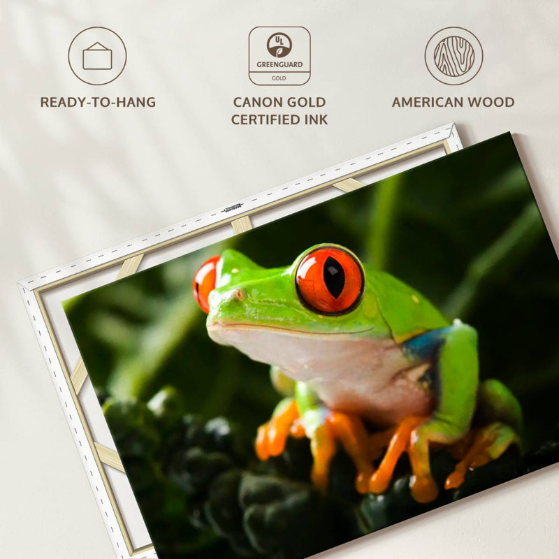 Brampt Tree Frog, 16" H x 24" W