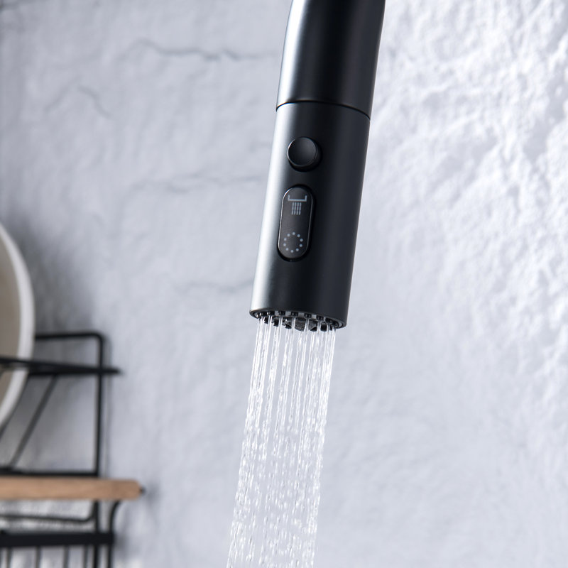 Robinet d'évier de cuisine extractible, robinet de lavabo monotrou avec affichage de la température, Noir mat
